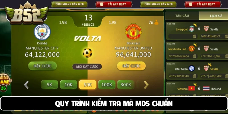 Quy trình kiểm tra mã MD5 chuẩn